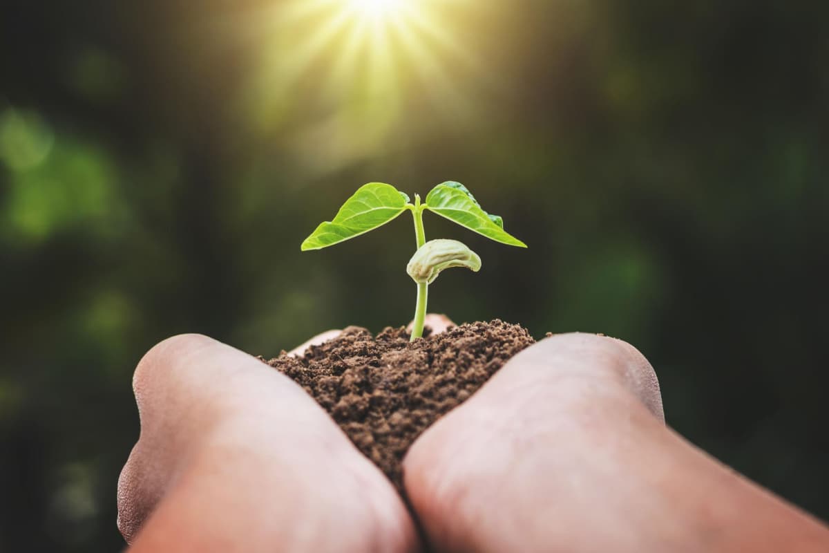 Reflection on My Year as a Community Fellow at University of Victoria’s Centre for Studies in Religion and Society